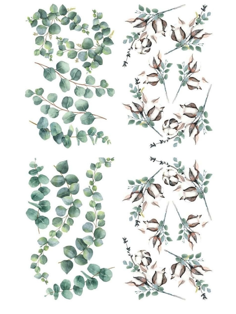 Dixie Belle Belles & Whistles Decor Transfer ~ COTTON & EUCALYPTUS 
~ 38" × 24"
